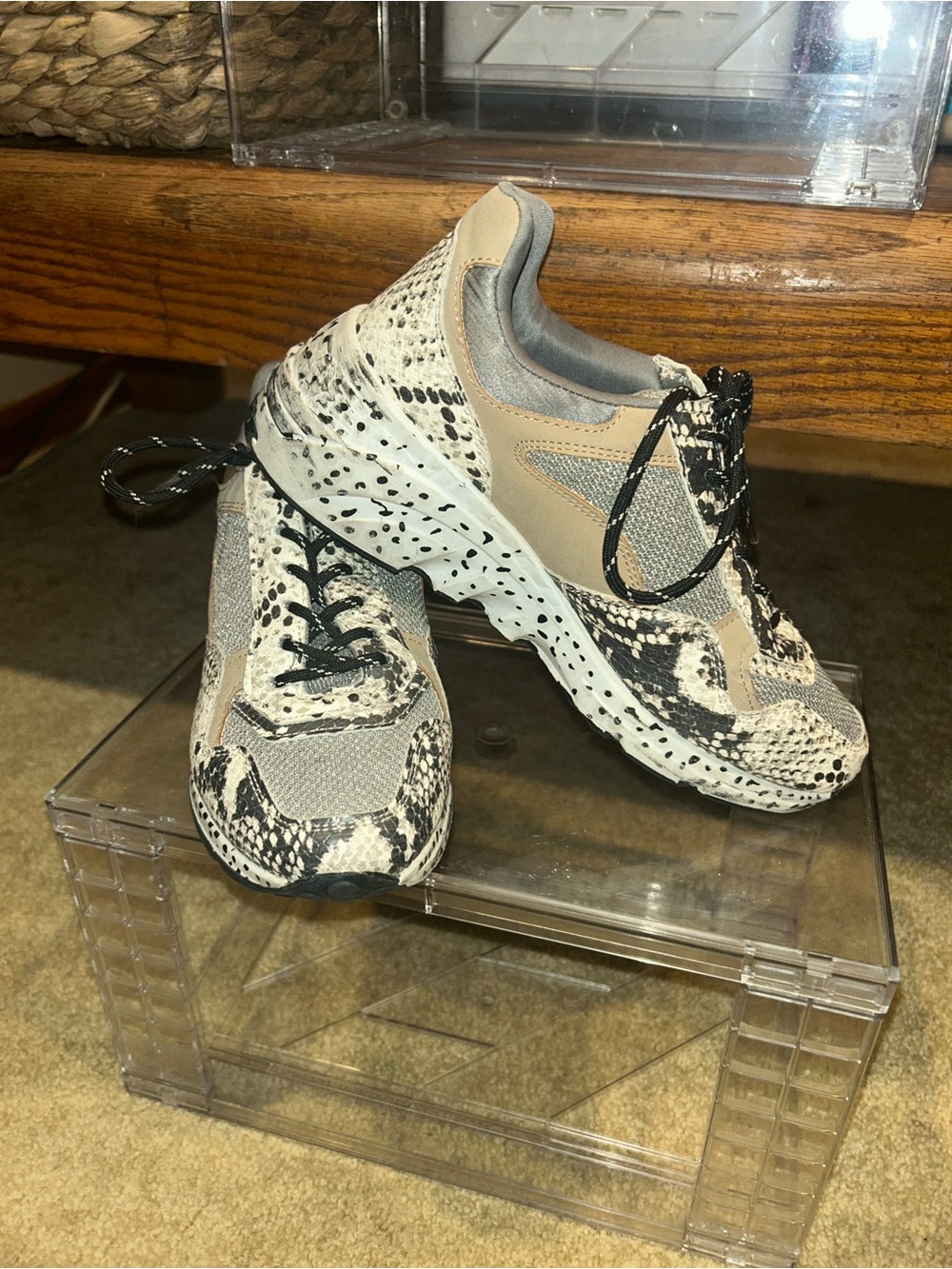 Steve Madden Beige and Black Snake-Print Sneakers